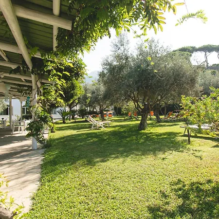 Victoria Park Hotel 3*